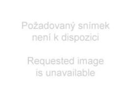 192501_878352000.jpg