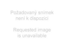 083701_625960761.jpg