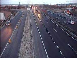 181701_826751917.jpg