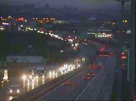 162901_231795487.jpg