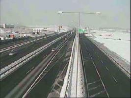 114801_805445279.jpg