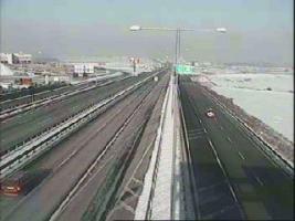 100301_229842795.jpg