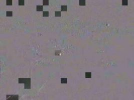 194001_746469226.jpg
