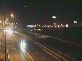195701_929200752.jpg