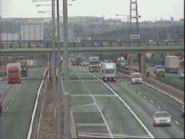 142401_289772221.jpg