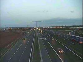 195901_941436806.jpg