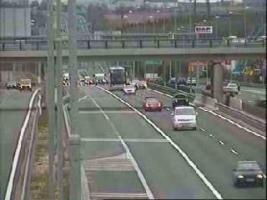 162401_877515413.jpg