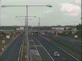 183301_943755370.jpg