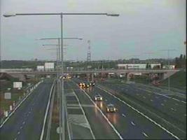 204701_128695641.jpg