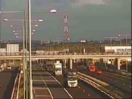 193801_842994466.jpg